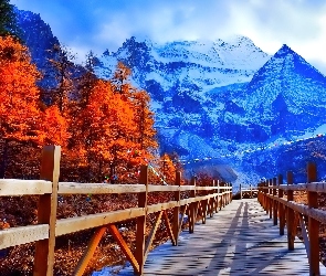 Jesień, Rzeka, Most, Drzewa, Śnieg, Drewniany, Góry
