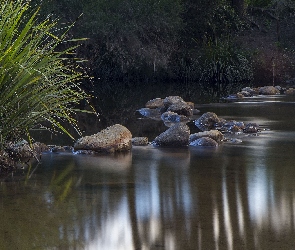 Rzeka, Trawy, Kamienie