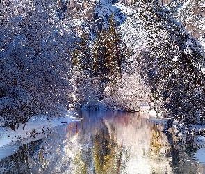 Las, Zima, Rzeka