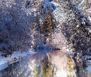 Rzeka, Zima, Las