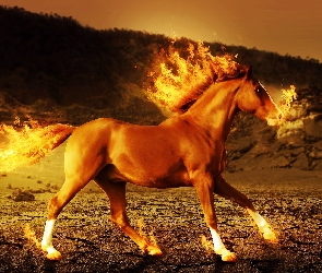 Ogień, Koń