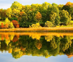Drzewa, Rzeka, Jesień