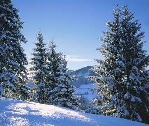 Śnieg, Drzewa, Góry