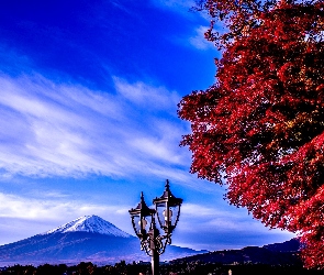 Góra, Japonia, Drzewo, Lampa, Fuji