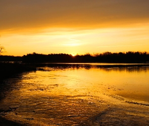 Jezioro, Las