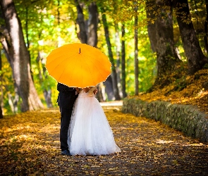 Jesień, Parasol, Młoda, Para
