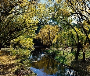 Park, Cienie, Rzeczka