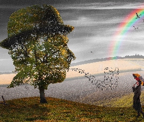 Drzewo, Grafika, Parasolka, Tęcza, Dziewczyna, Deszcz, Ptaki