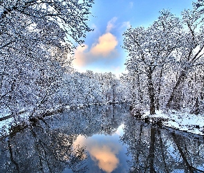 Zima, Drzewa, Oszronione, Rzeka