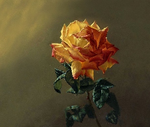 Malarstwo, Róża, Obraz