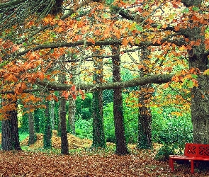 Park, Jesień, Drzewa, Liście, Ławka