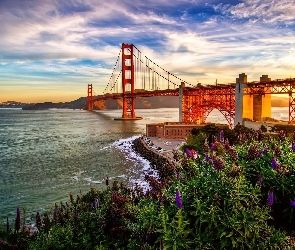 Rzeka, Łubiny, Zachód Słońca, Most Golden Gate