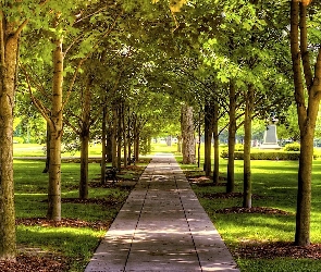 Park, Chodnik