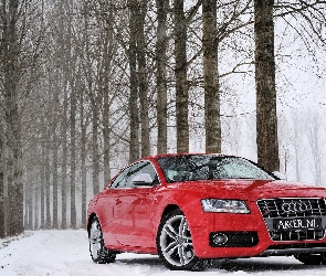 Audi S5, Śnieg, Droga, Las, Czerwone