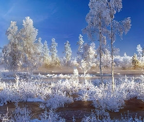 Śnieg, Drzewa, Rzeka