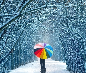 Parasol, Dziewczyna, Droga, Śnieg