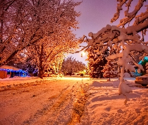 Droga, Drzewa, Ośnieżone, Zachód Słońca, Zima