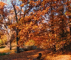 Jesień, Park, Mostek, Rzeczka, Alejki, Ławka