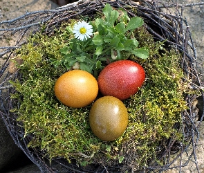 Malowane, Jajka, Wielkanoc