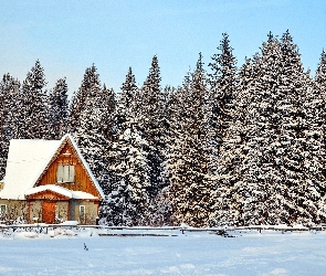 Domki, Lasu, Zima, Ścina