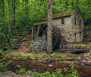 Młyn, Rzeczka, Las