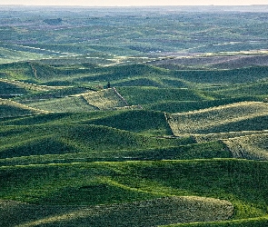 Pola, Wyżyna