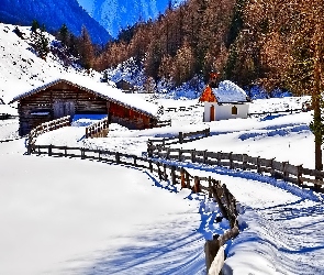 Lasy, Ogrodzenie, Zabudowania, Zima, Góry