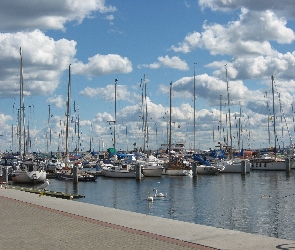 Gdynia, Jachty
