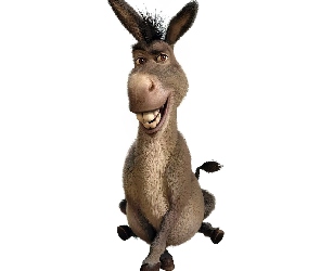 Shrek, Osioł