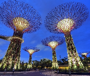 Singapur, Botaniczny, Ogród