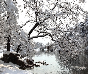 Park, Zima, Ścieżka, Most, Rzeka