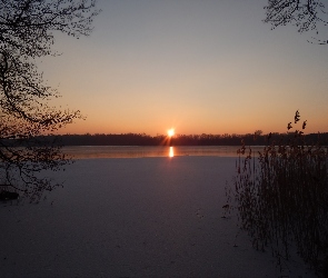 Zachód, Trzciny, Jezioro, Lód, Słońca