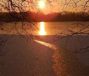 Gałęzie, Lód, Zachód Słońca, Jezioro