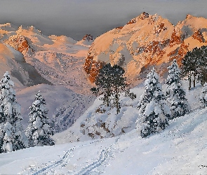 Alois Arnegger, Góry, Zima