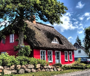Krzewy, Drzewo, Czerwony, Kamienie, Droga, Wieś, Dom