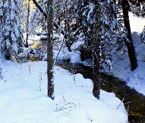 Rzeka, Drzewa, Zima