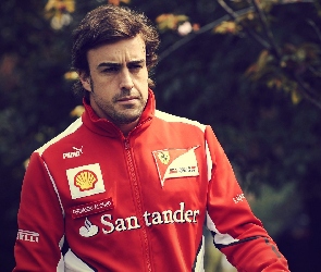 Sportowa, Bluza, Fernando Alonso