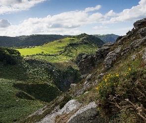 Skały, Las, Góry