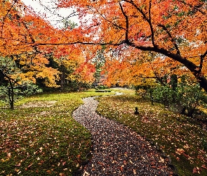 Park, Liście, Opadłe, Alejka, Jesienny