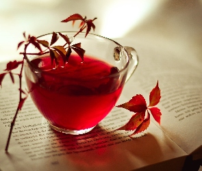Herbata, Książka, Czerwona