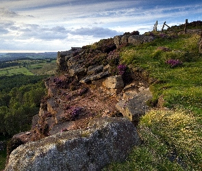 Widok, Pola, Skały, Trawy, Góra