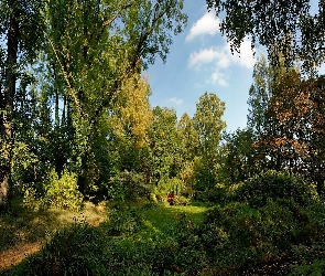 Cień, Światło, Czerwony, Drzewa, Obłoki, Park, Mostek