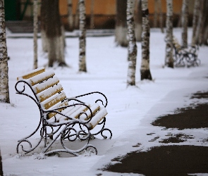 Śnieg, Topniejący, Brzozy, Park, Zima, Ławki
