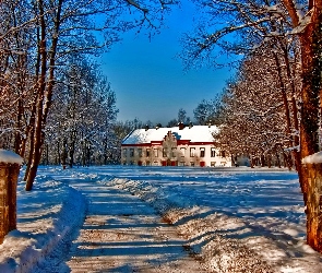 Zima, Droga, Dom, Drzewa, Śnieg
