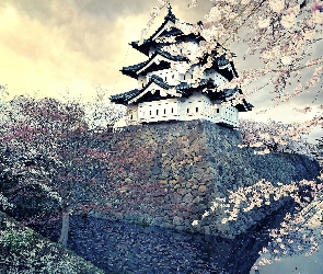 Japonia, Drzewa, Kwitnące, Dom
