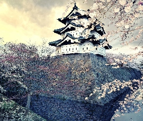 Drzewa, Kwitnące, Japonia, Dom