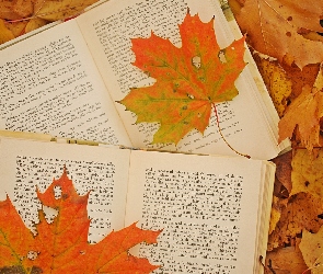 Liście, Książka, Jesień