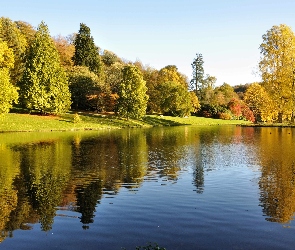 Jezioro, Las, Jesień