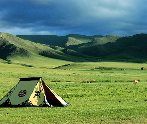 Stepy, Namiot, Mongolia