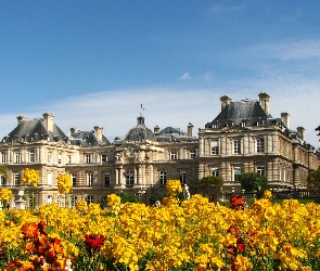 Pałac, Paryż, Luksemburg